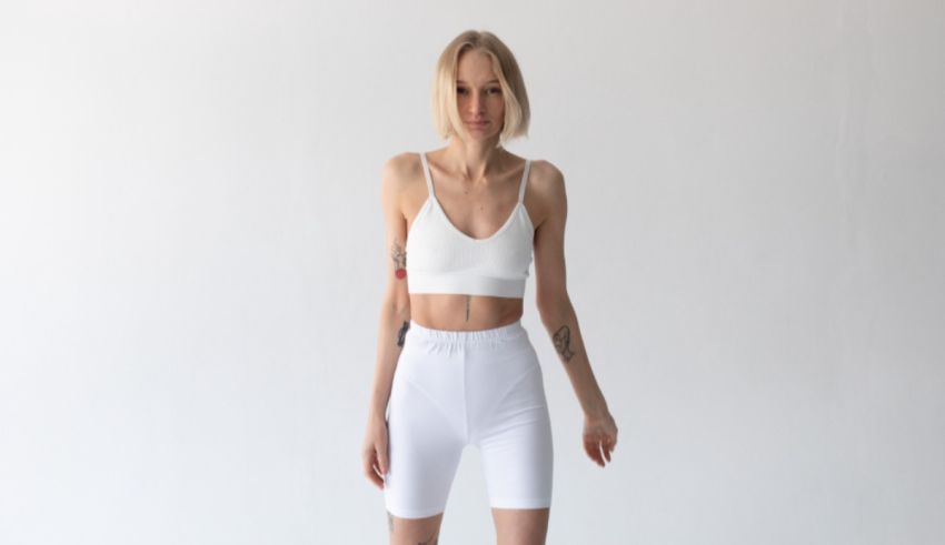 How many bones make up the adult human body?