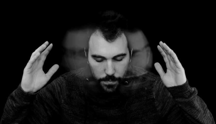 What Animal Would You Reincarnate As