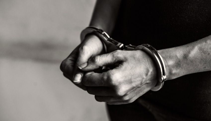 What Animal Would You Reincarnate As