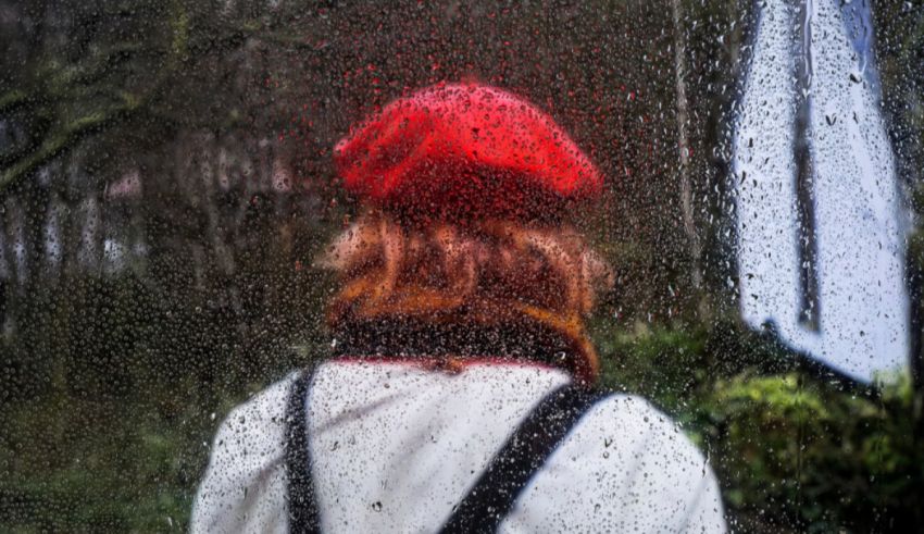 What's Your Cat Archetype