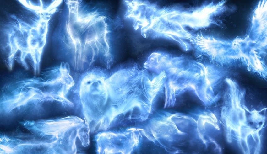 Harry potter and the goblet of fire harry potter and the goblet of fire harry potter and.