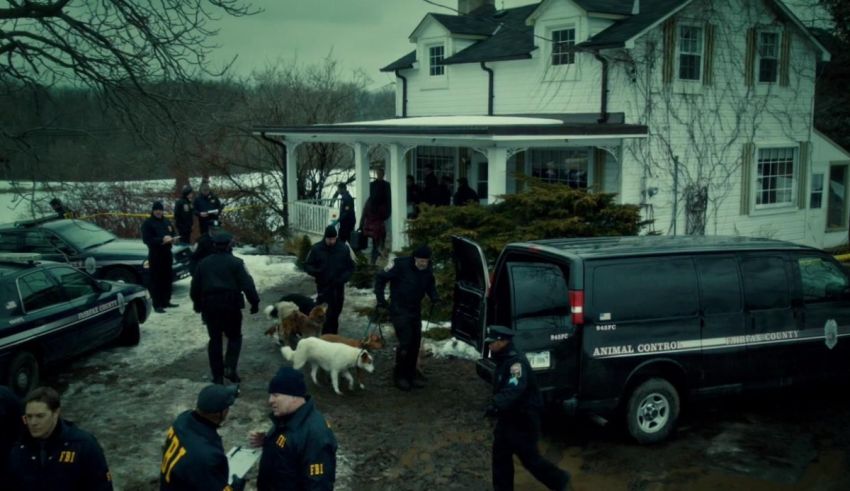 A group of police officers standing outside a house with a dog.