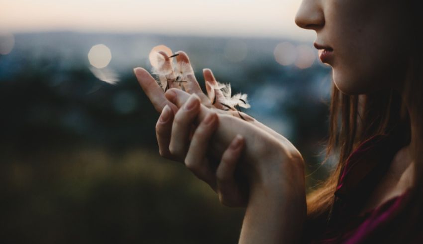 What Animal Would You Reincarnate As