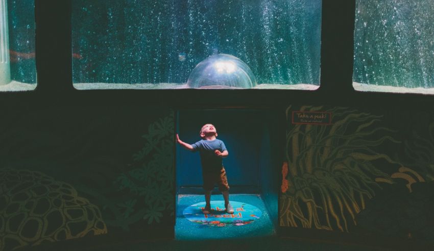A boy standing in front of a large aquarium.