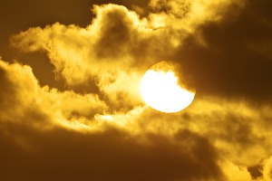 Which Greek God Are You