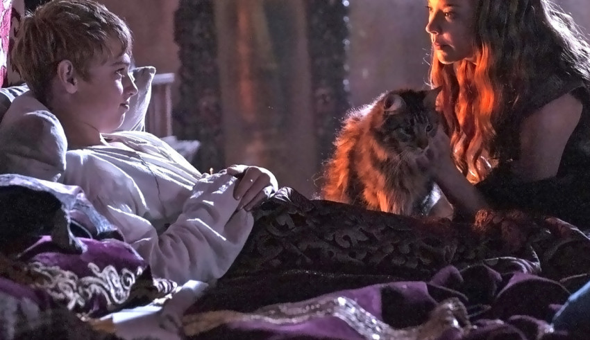 A man and a woman are laying in bed with a cat.