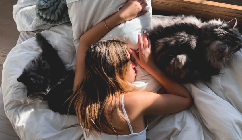 A woman laying on a bed with two cats.