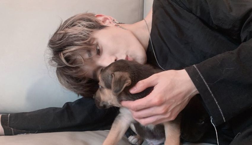 Which NCT 127 Member Are You