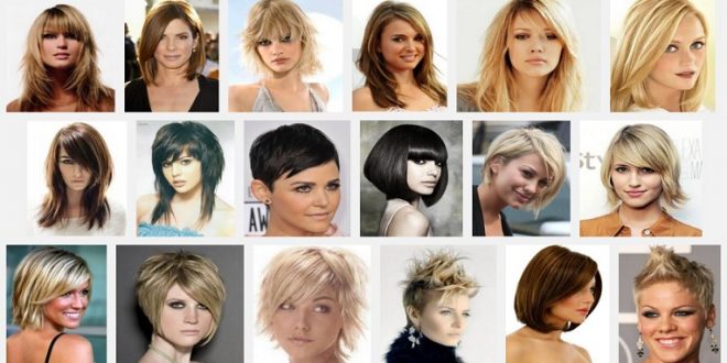 A collage of pictures of women with different hairstyles.