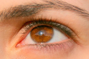 Which Greek God Are You