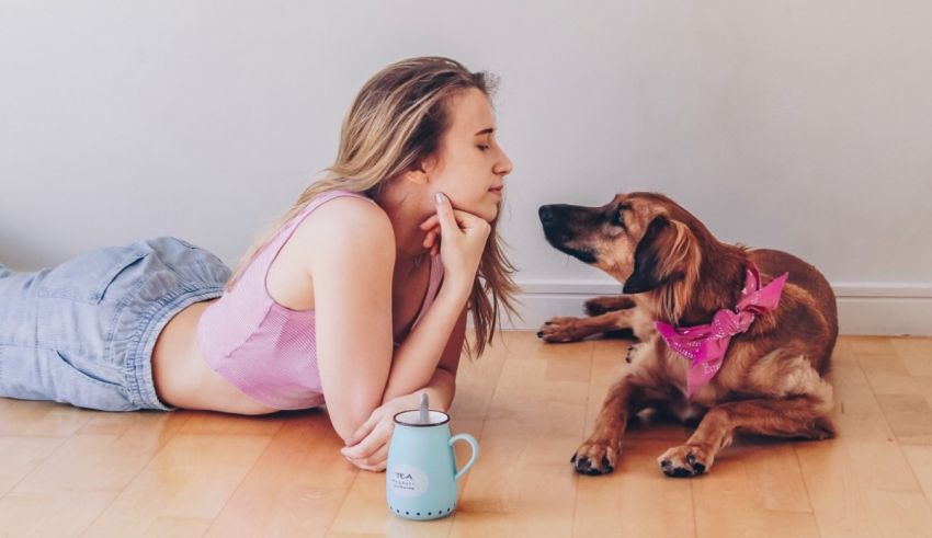 A woman laying on the floor next to a dog.