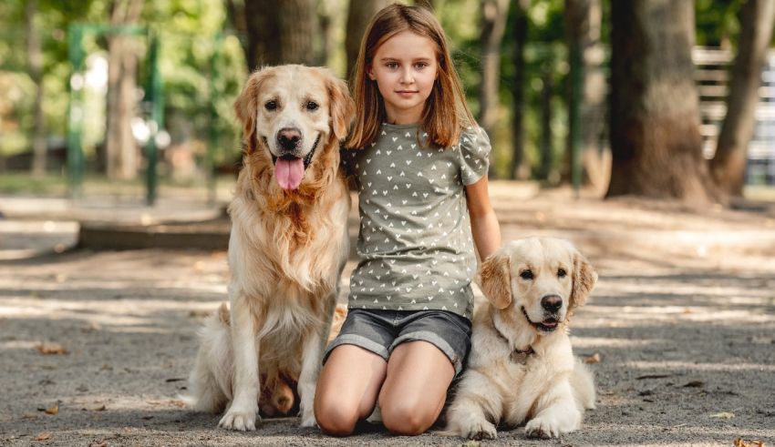 A girl is sitting on the ground with two golden retrievers.