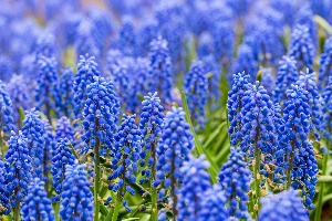 Which Greek God Are You