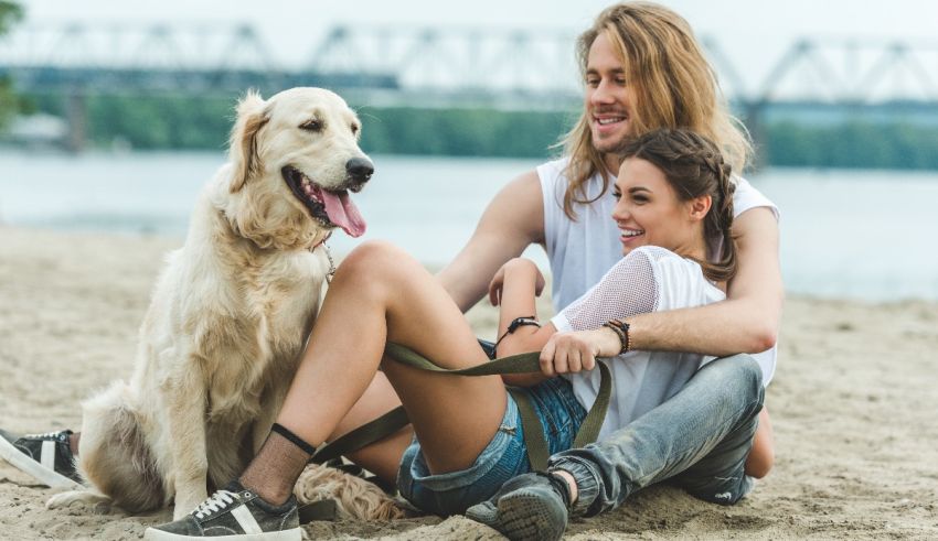A man and woman sitting on the beach with their dog.