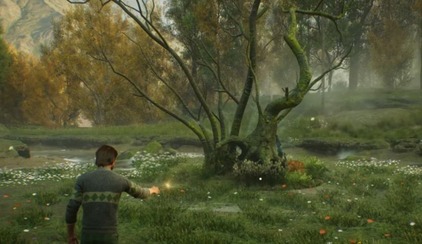 Harry potter and the goblet of fire screenshot.