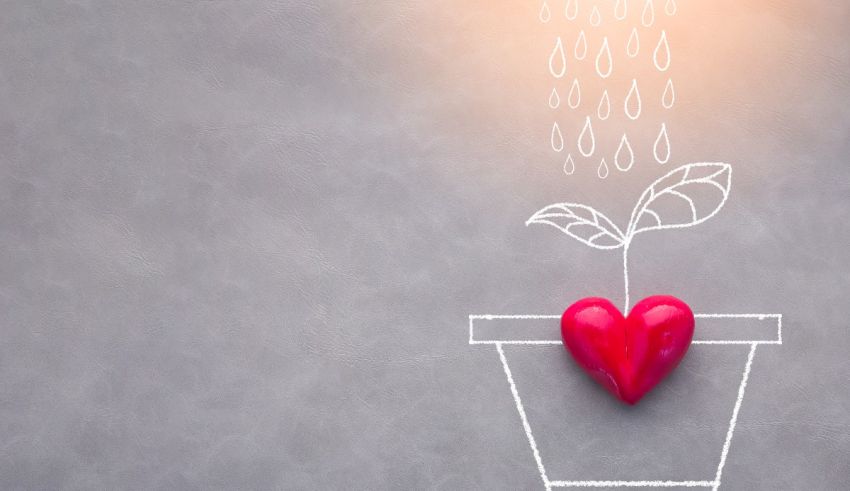 A red heart with a plant growing out of it in a pot.