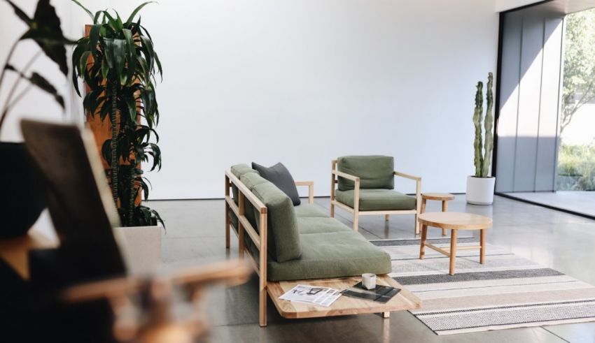 A living room with a green couch and a cactus.