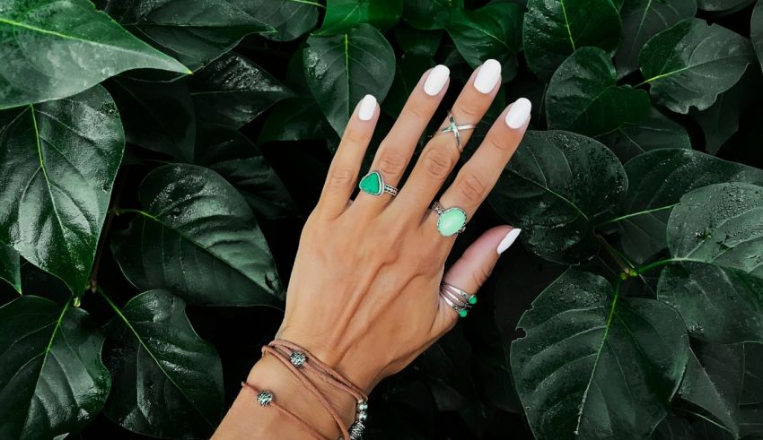 A woman's hand is surrounded by green leaves.