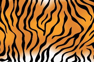 What Pokemon Are You