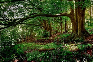 What Pokemon Are You