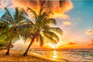 What Pokemon Are You