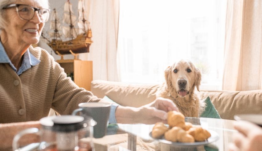 A woman and a dog sitting at a table.