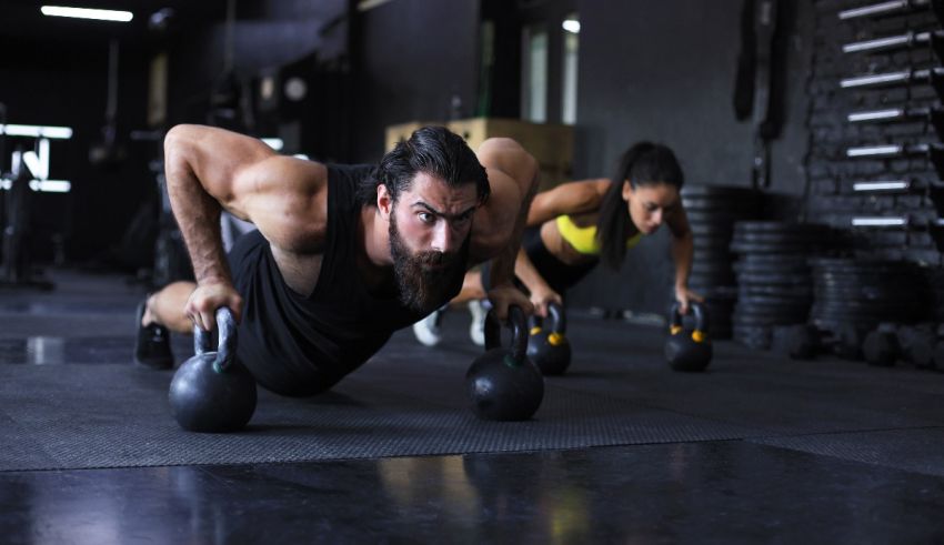 What Raccoon Are You