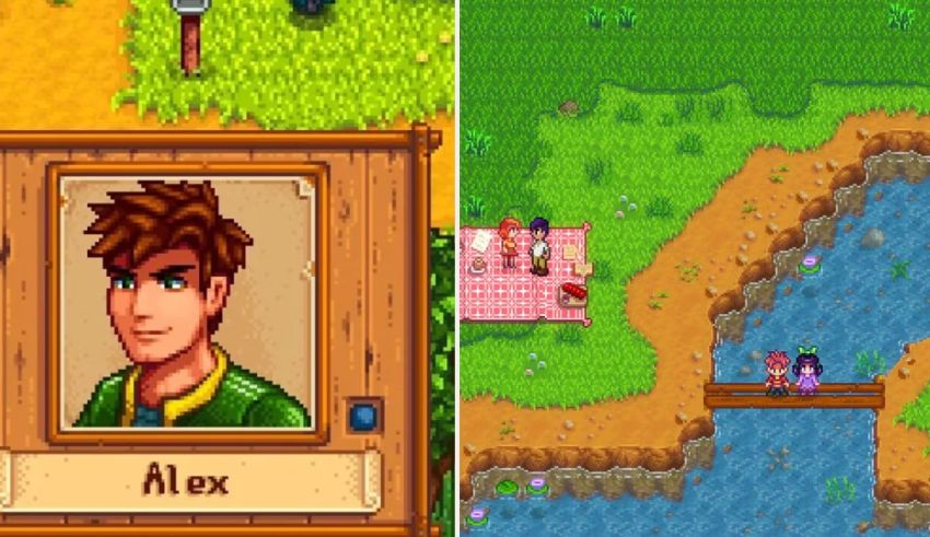 Which Stardew Valley Bachelor Should You Marry