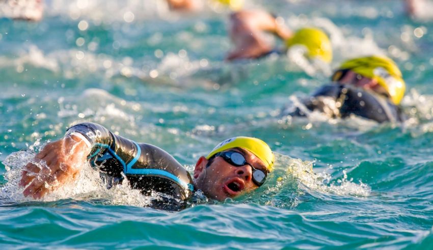 A group of swimmers are swimming in the ocean.