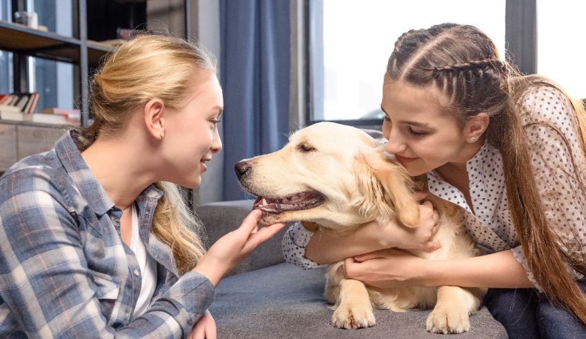 Two women petting a dog on a couch.